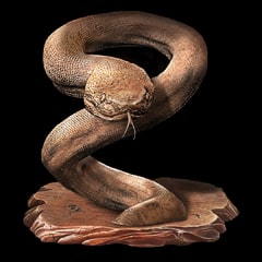 Icône de Grand serpent