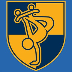 Icône de Pro du skate