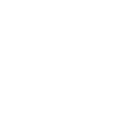 Icône de Am, stram, histogramme