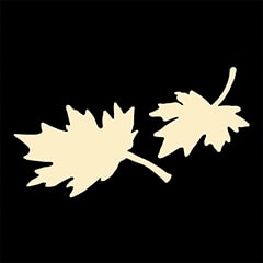 Icône de Les cousins du Canada