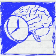 Icône de Combien de temps peut-on vivre sans cerveau ?