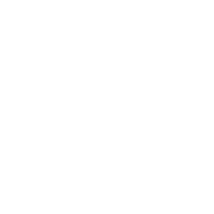 Icône de Bon reflex
