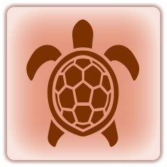 Icône de Tortue de mer